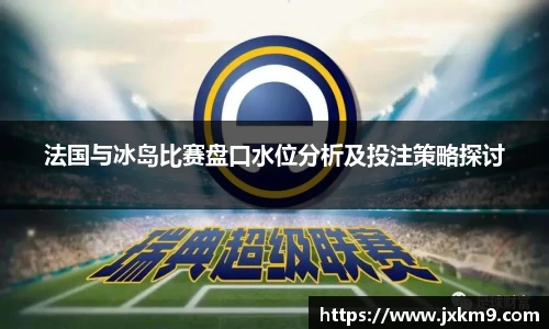 法国与冰岛比赛盘口水位分析及投注策略探讨